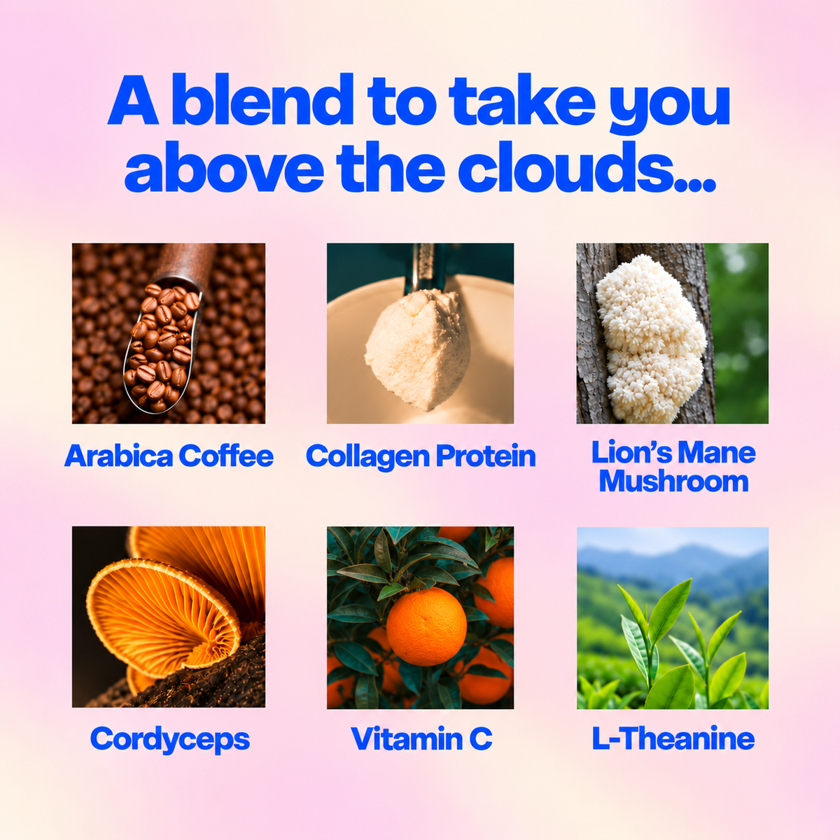 Sapphire Sands Collagen Super Coffee